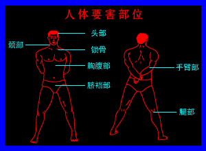 人体头部要害攻击术分享